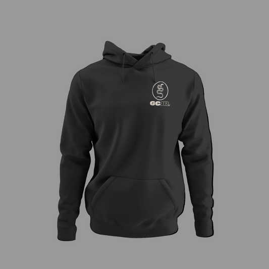 Vintage "This Land" Hoodie